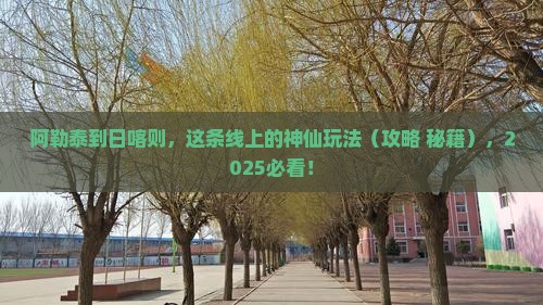阿勒泰到西藏日喀则必去地