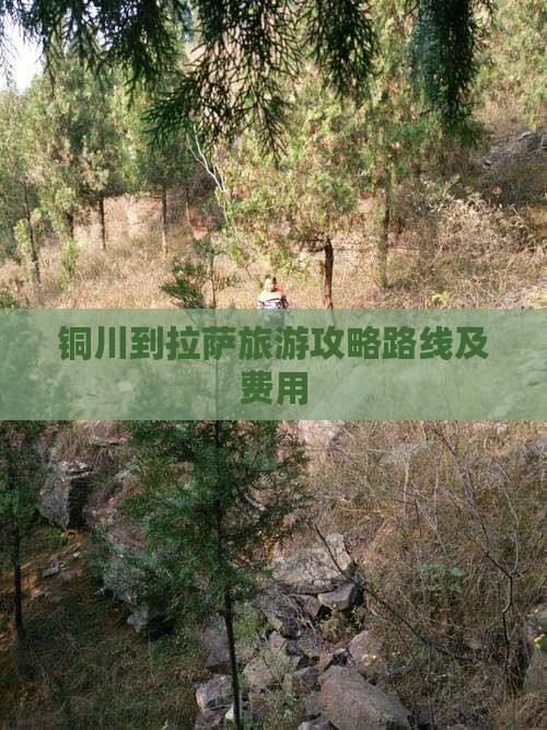 铜川到西藏拉萨旅游