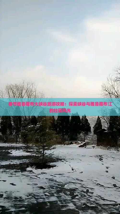 春节去西藏雅鲁藏布大峡谷攻略