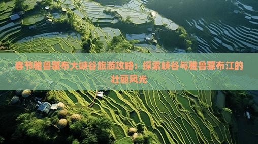 春节去西藏雅鲁藏布大峡谷攻略