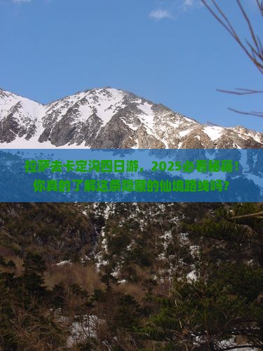 拉萨去西藏卡定沟四日游