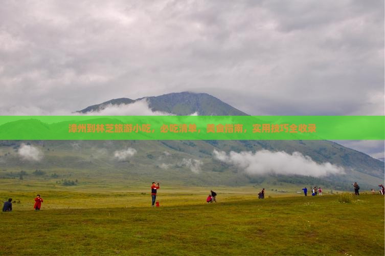 漳州到西藏林芝旅游小吃