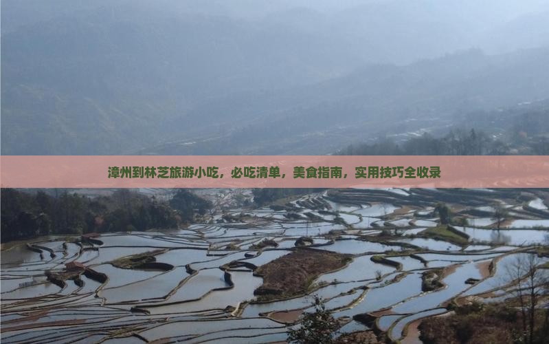 漳州到西藏林芝旅游小吃