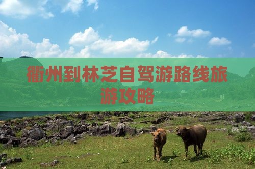 衢州去西藏林芝旅游