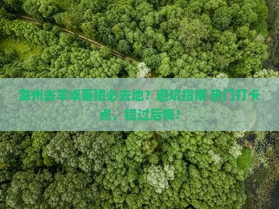 滁州去西藏羊卓雍措必去地