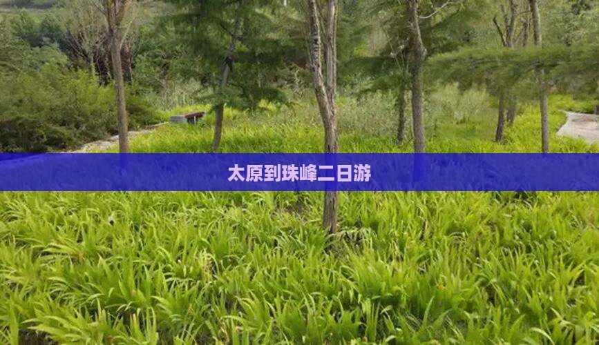 太原到西藏珠峰大本营二日游