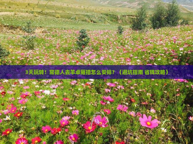 常德去西藏羊卓雍措旅行社
