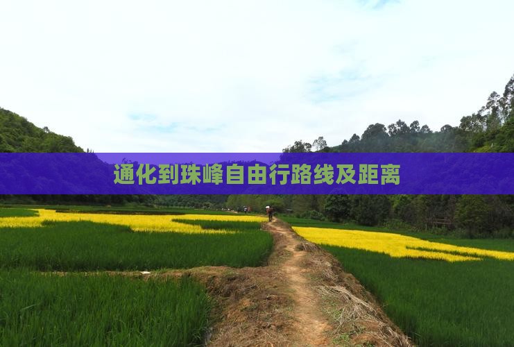 通化到西藏珠峰大本营自由行