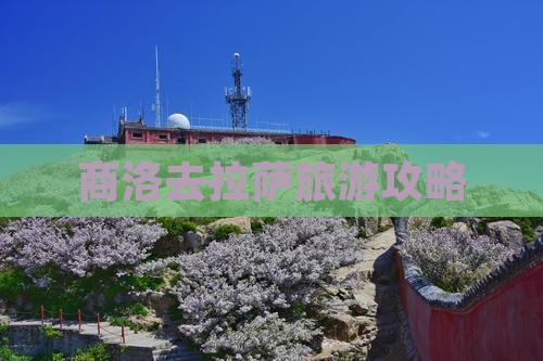 商洛去西藏拉萨一日
