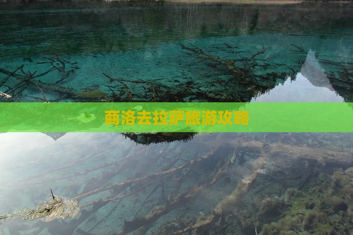 商洛去西藏拉萨一日
