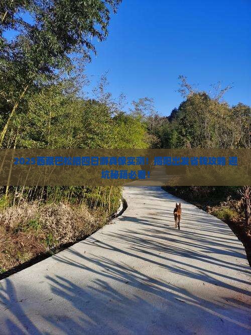 揭阳到西藏巴松措四日游