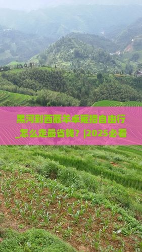 黑河到西藏羊卓雍措自由行
