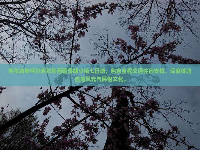 克孜勒苏柯尔克孜到西藏鲁朗小镇七日游