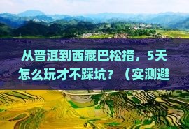 普洱到西藏巴松措门票 普洱到西藏巴松措门票