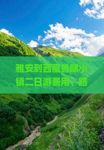 雅安到西藏鲁朗小镇二日游