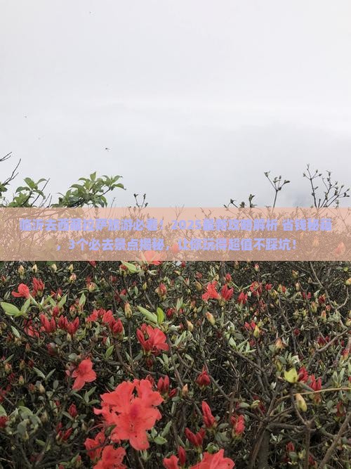 临沂去西藏拉萨哪里玩