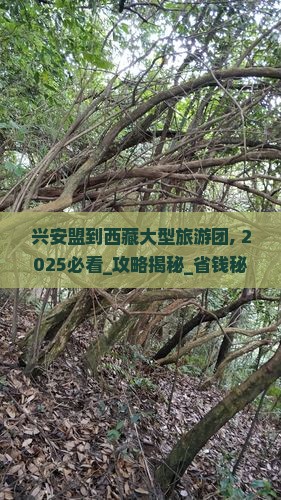 兴安盟到西藏大型旅游团 兴安盟到西藏大型旅游团