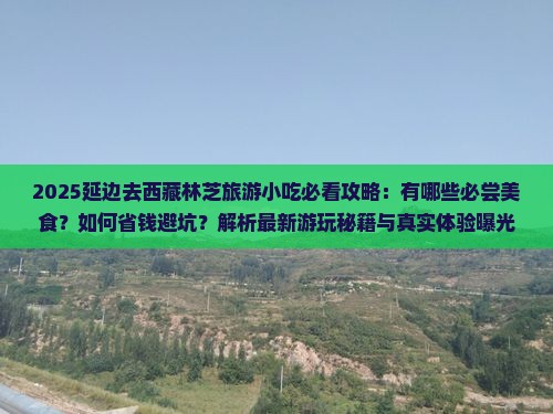 延边去西藏林芝旅游小吃