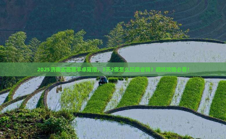 济南到西藏羊卓雍措旅行社