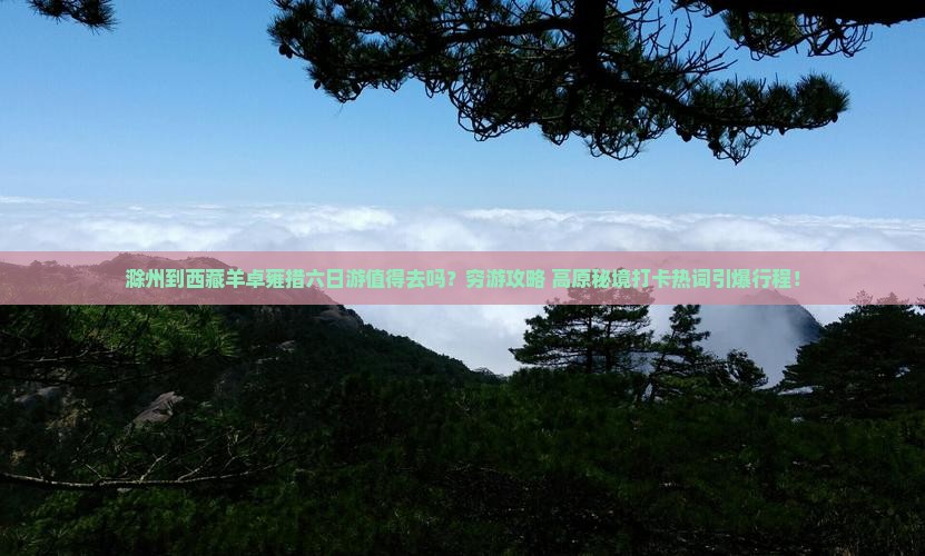 滁州到西藏羊卓雍措六日游