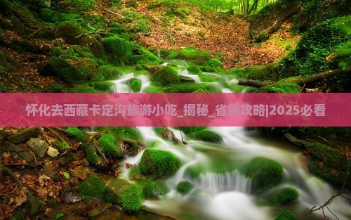 怀化去西藏卡定沟旅游小吃