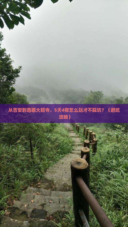 吉安到西藏大昭寺团体旅游