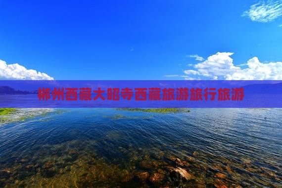 郴州去西藏大昭寺大型旅游团