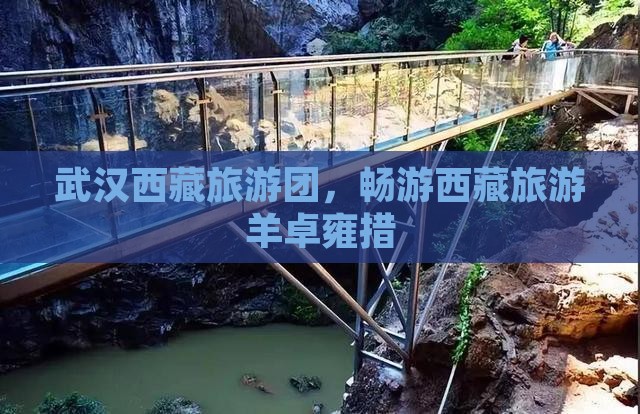 武汉去西藏羊卓雍措大型旅游团