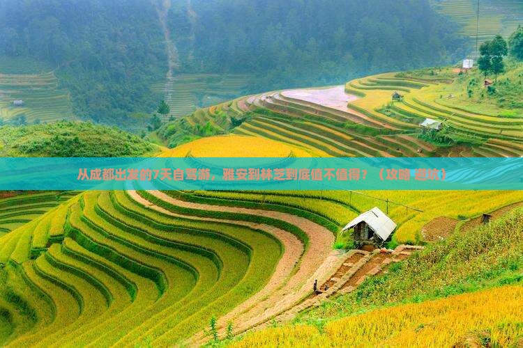 雅安到西藏林芝自由行
