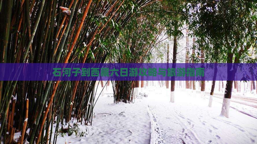 石河子到西藏六日游
