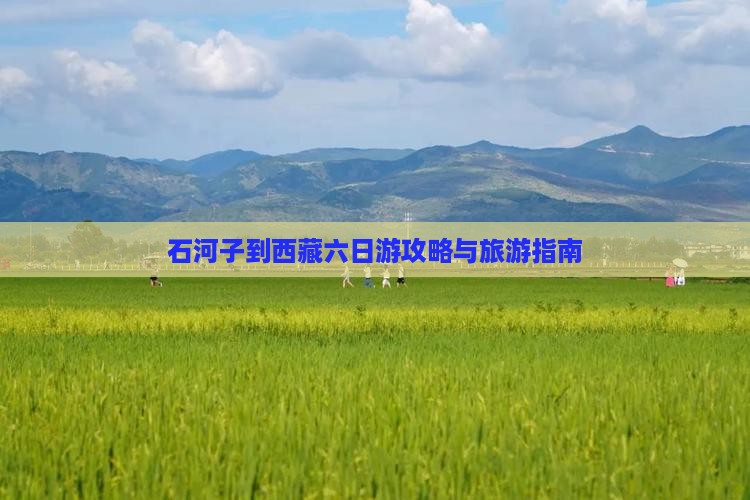 石河子到西藏六日游