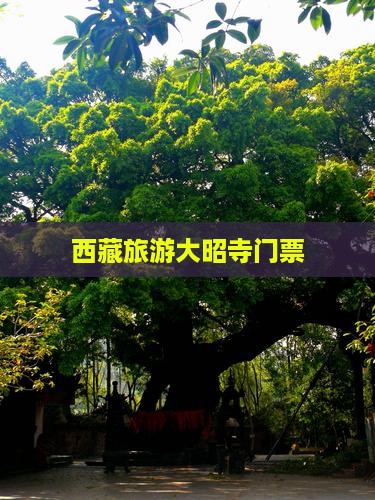 秋天到西藏大昭寺门票