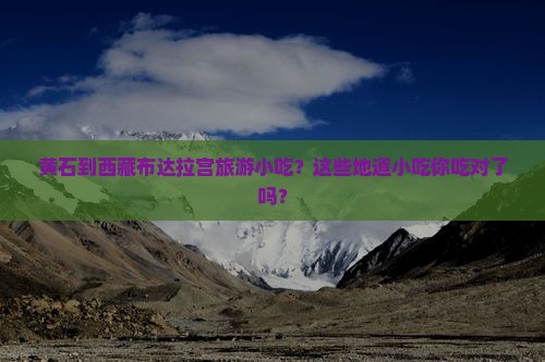 黄石到西藏布达拉宫旅游小吃