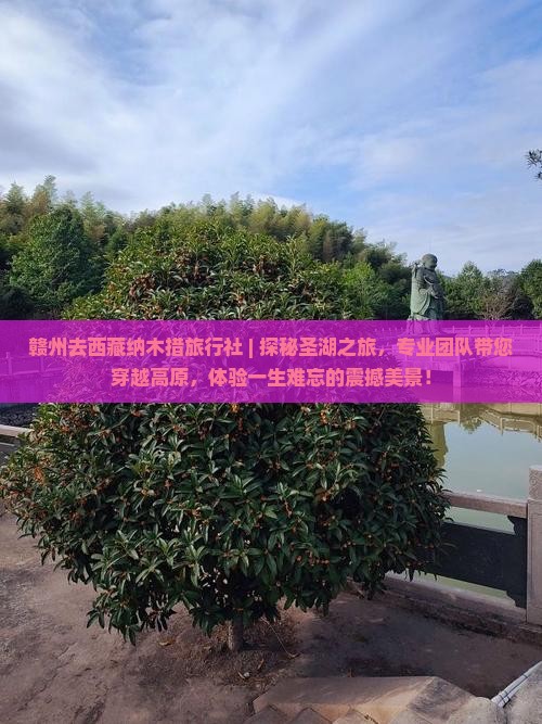 赣州去西藏纳木措旅行社