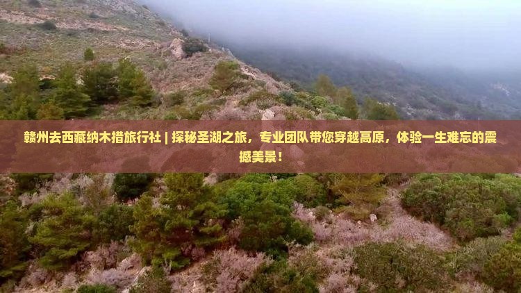 赣州去西藏纳木措旅行社