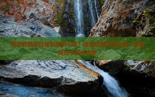 湘西到西藏日喀则旅游小吃