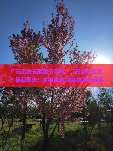 广元去西藏卡定沟二日游