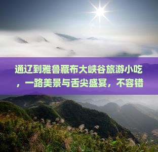 通辽到西藏雅鲁藏布大峡谷旅游小吃