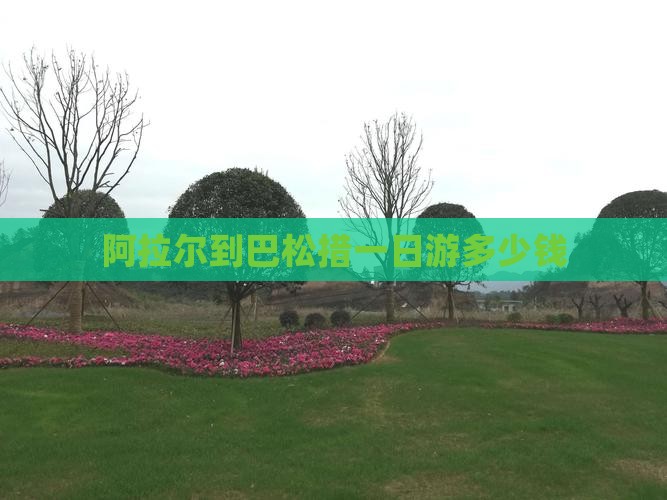 阿拉尔到西藏巴松措一日