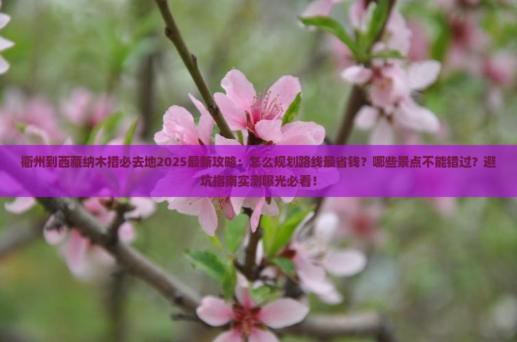 衢州到西藏纳木措必去地