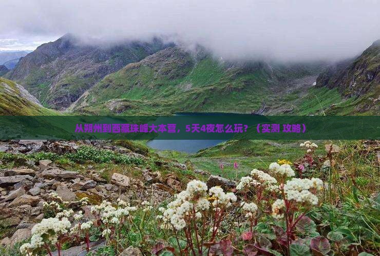 朔州到西藏珠峰大本营门票