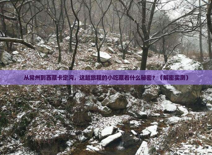 常州到西藏卡定沟旅游小吃