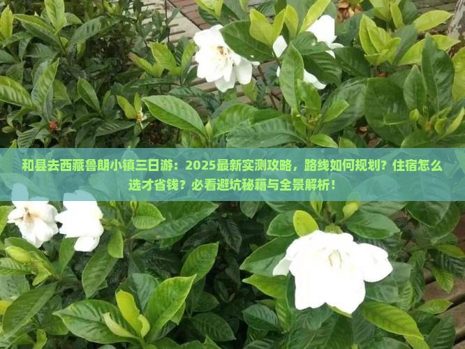 和县去西藏鲁朗小镇三日游