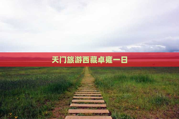 天门去西藏羊卓雍措一日