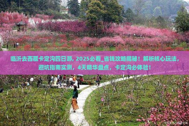 临沂去西藏卡定沟四日游