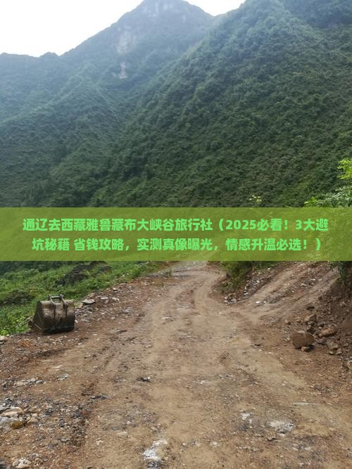 通辽去西藏雅鲁藏布大峡谷旅行社