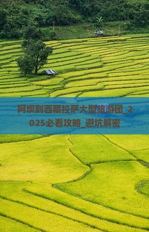 阿坝到西藏拉萨大型旅游团