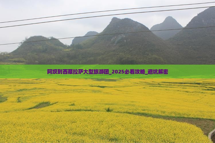 阿坝到西藏拉萨大型旅游团