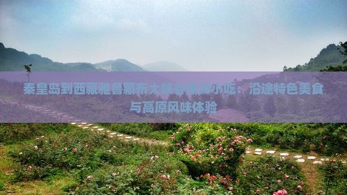 秦皇岛到西藏雅鲁藏布大峡谷旅游小吃