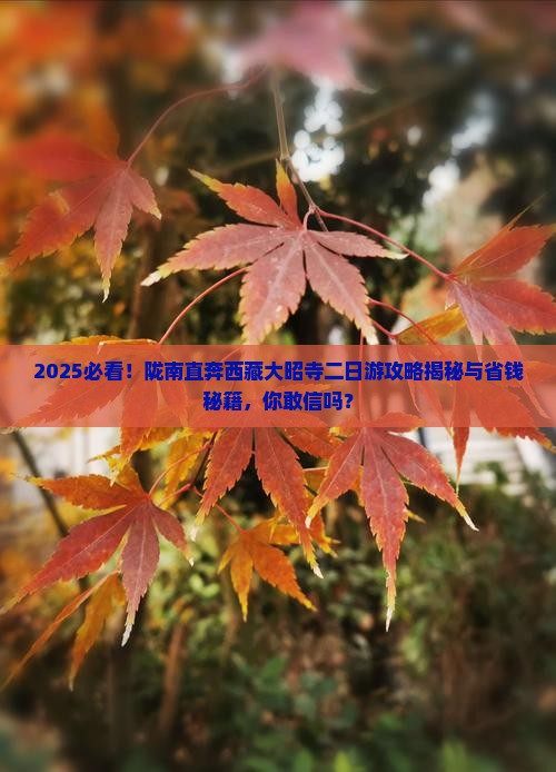 陇南去西藏大昭寺二日游